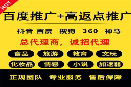 SEM代理的优化策略及成功案例